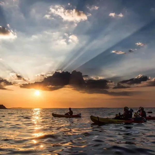 Surfing or Sunset Kayak with Real Adventure Tours